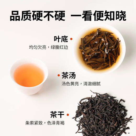 【玩料家】硬14g 商品图5