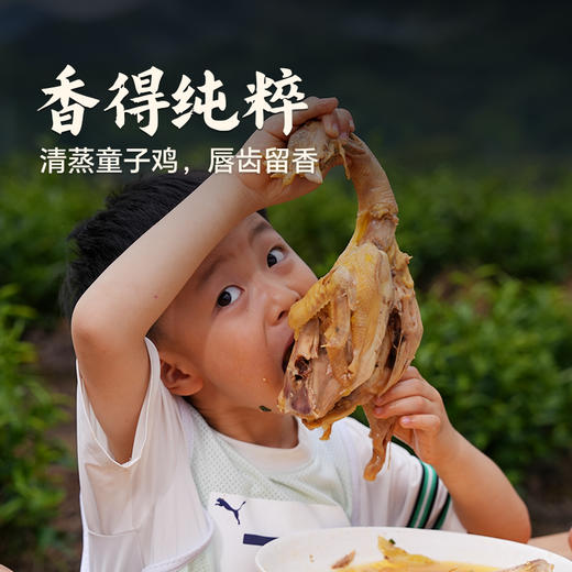 【杨博士 母子组合】杨博士深山散养土鸡+童子鸡套餐总净重3.1-4.0斤 商品图7