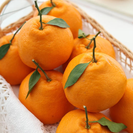 石家庄优选仓库速达，探蜜熊®大雅柑，果肉脆嫩饱满，颗粒分明，橘味浓郁，满口爆汁，净重6.5斤礼盒装 商品图0