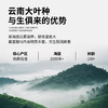 【魔造】2026高山滇绿150g 商品缩略图3