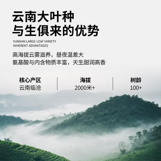 【魔造】2026高山滇绿150g 商品图3