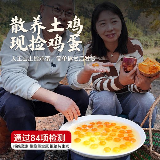【杨博士】土鸡蛋不土包赔正宗深山散养土鸡蛋新鲜草鸡蛋 40g-50g/枚 商品图1