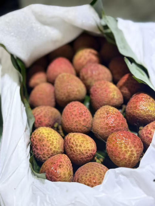 荔枝5斤礼盒 商品图0