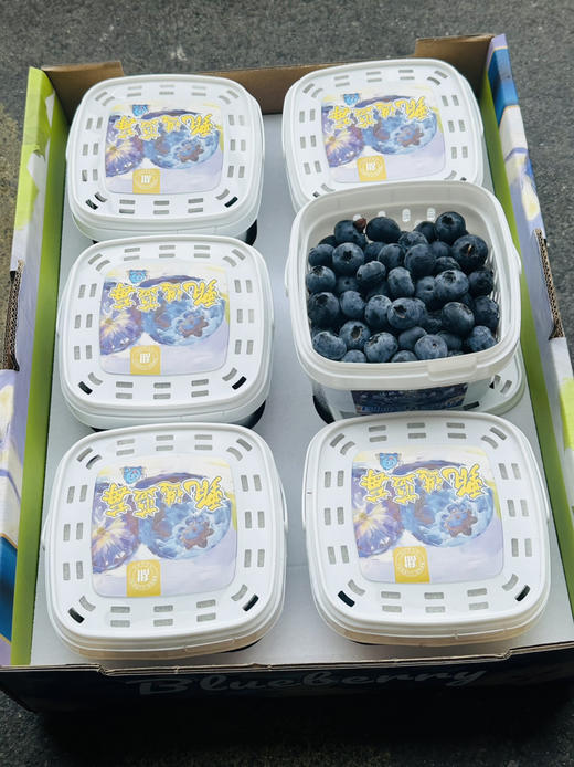 脆甜花香蓝莓 商品图10