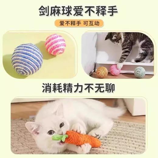 【磨牙洁齿功能强、玩具大礼包超值】猫咪玩具磨牙洁齿自嗨解闷逗猫棒申请布偶德文猫消耗体力用品大全.TA 商品图2
