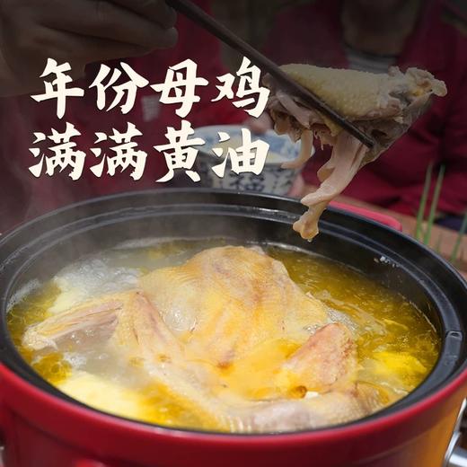 【杨博士 母子组合】杨博士深山散养土鸡+童子鸡套餐总净重3.1-4.0斤 商品图1
