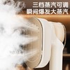 奥戈那 手持挂烫机家用熨烫机便携大蒸汽机电熨斗小型迷你差旅熨衣服除皱不伤衣 K-9719A 商品缩略图2
