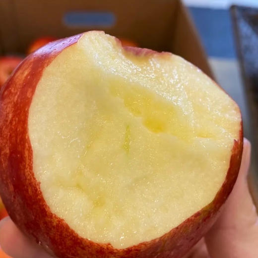 预售：石家庄优选仓库速达，新西兰加力果，脆甜多汁小苹果，皮薄肉厚，酥脆无渣，爽脆可口，10枚散装 商品图6