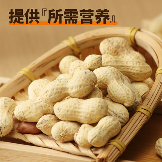 【满减】蒜香味花生180g*1袋 商品图3