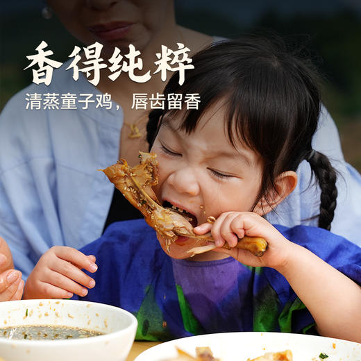 【杨博士 母子组合】杨博士深山散养土鸡+童子鸡套餐总净重3.1-4.0斤 商品图8