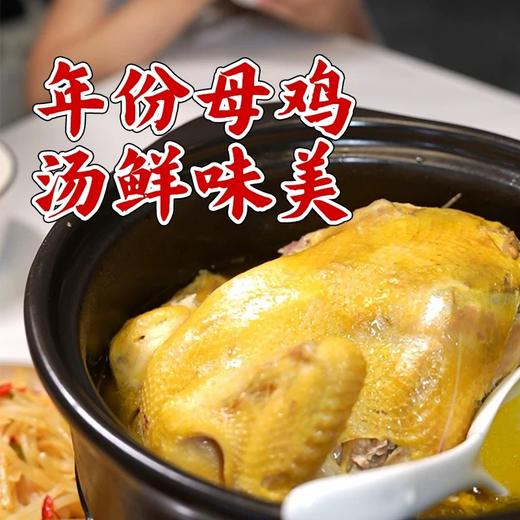 【杨博士 母子组合】杨博士深山散养土鸡+童子鸡套餐总净重3.1-4.0斤 商品图2