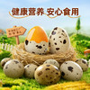 蜜雪冰城 卤香鹌鹑蛋即食独立小包装 商品缩略图1