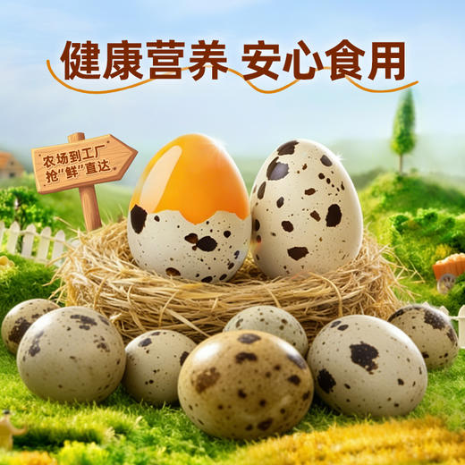 蜜雪冰城 卤香鹌鹑蛋即食独立小包装 商品图1