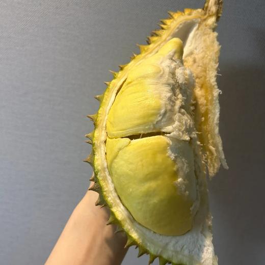 泰国首批金枕头榴莲a果顺丰包邮保四房【下单务必看售后须知！】 商品图2