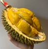 【限时尝鲜】泰国猫山王托曼尼榴莲顺丰包邮【收到之后建议放置一两天，会更软糯绵密！】 商品缩略图1