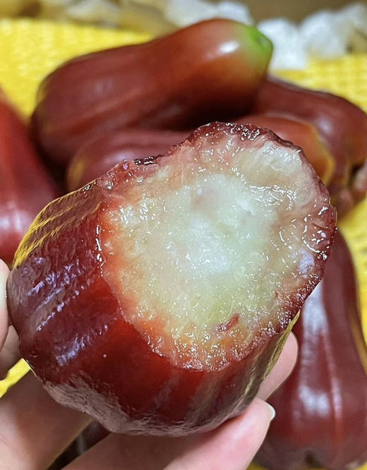 黑金刚莲雾（散称29.8/斤 称重补差） 商品图1