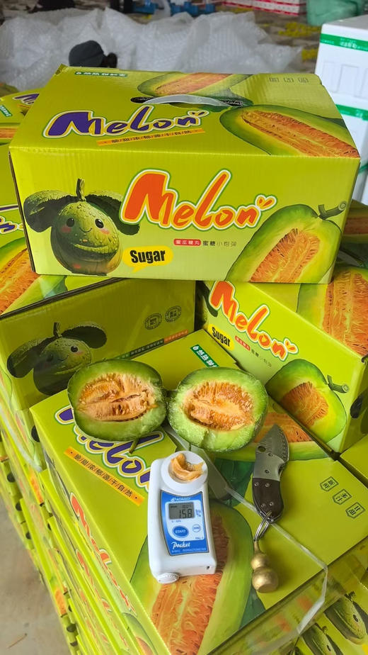 绿美人甜瓜中的劳斯莱斯3斤装 商品图3