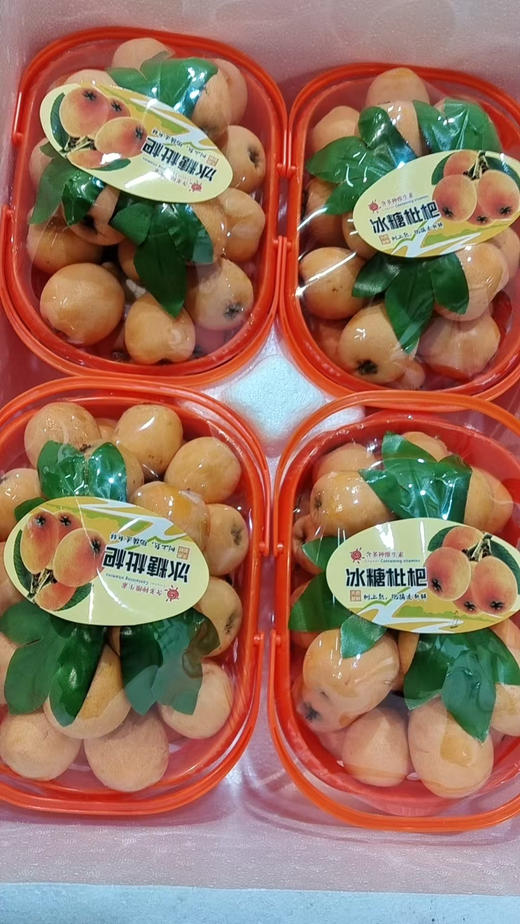 冰糖枇杷1.5斤左右小提蓝 商品图5