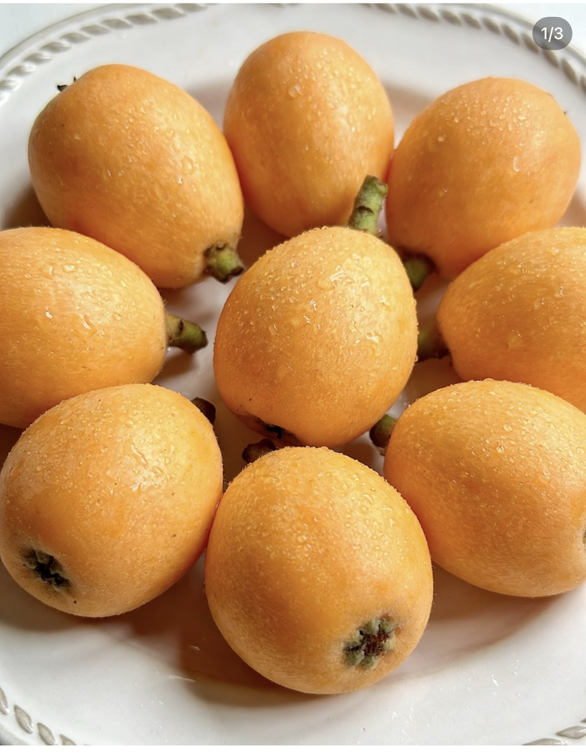 冰糖枇杷1.5斤左右小提蓝