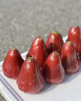 黑金刚莲雾（散称29.8/斤 称重补差）