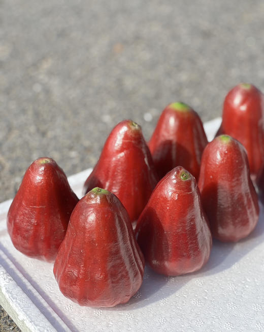 黑金刚莲雾（散称29.8/斤 称重补差） 商品图0