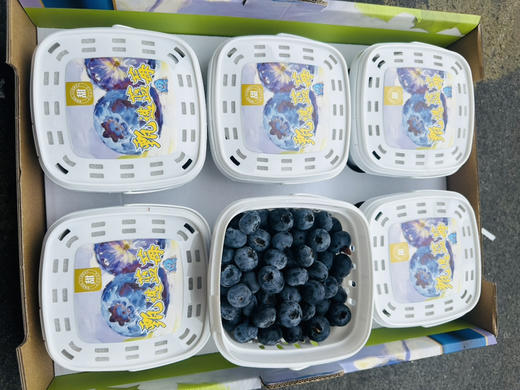 脆甜花香蓝莓 商品图8