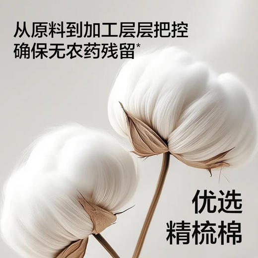 MM 山姆 Member's Mark 精梳棉女童平角裤 5条装 商品图1