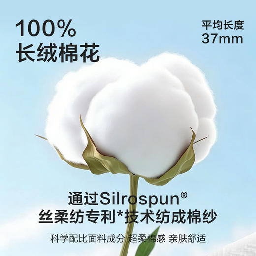 MM 山姆 Member's Mark 吸湿速干长绒棉男童袜 7双装 商品图1