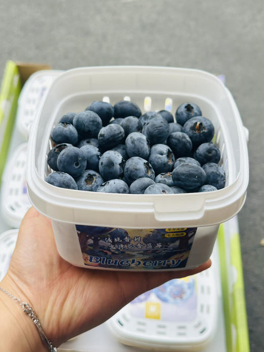 脆甜花香蓝莓 商品图4