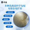 华畜乳酸菌浓缩粉发酵水产养殖专用复合芽孢杆菌有益生菌原种液药 商品缩略图2
