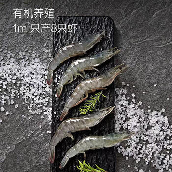 1号会员店（One's Member）精选盐田有机白虾 海鲜食材盐田养殖 无添加健康单冻干净 净重1kg 商品图7