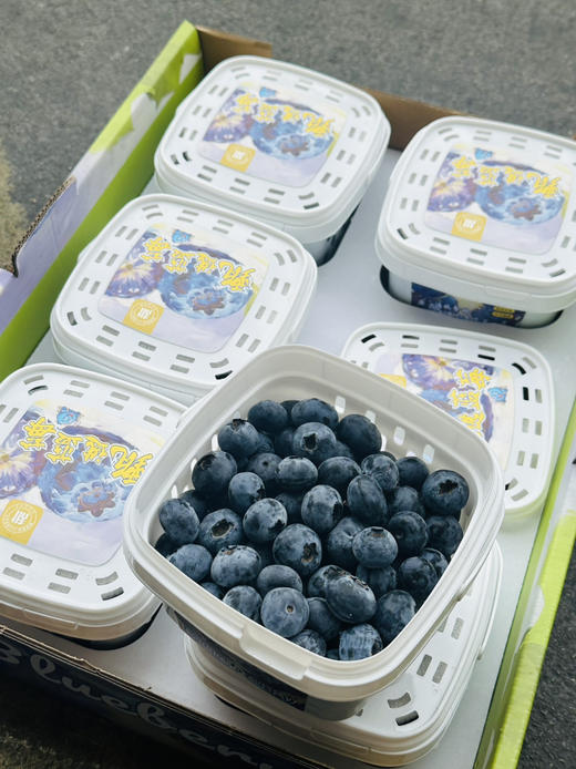 脆甜花香蓝莓 商品图0