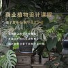 商业植物设计课程 商品缩略图0