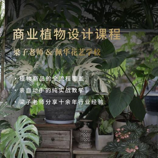商业植物设计课程 商品图0