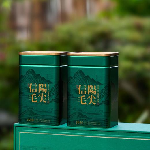 30元一套/一件12套 信阳礼物【信阳毛尖 2罐 】 商品图6