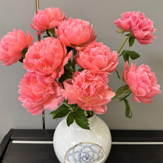 进口品种芍药花 | 夏威夷珊瑚(粉)⭐️顺丰特快 商品图1