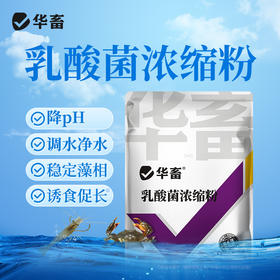 华畜乳酸菌浓缩粉发酵水产养殖专用复合芽孢杆菌有益生菌原种液药