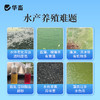 华畜枯草芽孢杆菌菌种水产养殖专用菌原种菌粉虾蟹塘活菌em益生菌 商品缩略图1