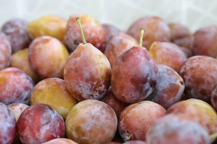 智利甜西梅 糯叽叽的