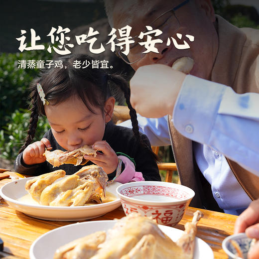 【杨博士 母子组合】杨博士深山散养土鸡+童子鸡套餐总净重3.1-4.0斤 商品图6