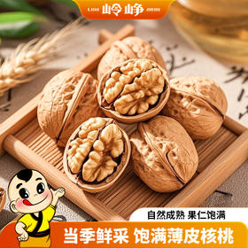 岭峥薄皮核桃（500g）*1袋