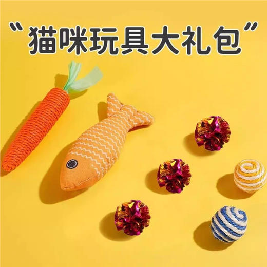 【磨牙洁齿功能强、玩具大礼包超值】猫咪玩具磨牙洁齿自嗨解闷逗猫棒申请布偶德文猫消耗体力用品大全.TA 商品图1