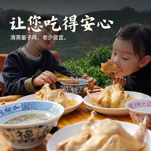 【杨博士 母子组合】杨博士深山散养土鸡+童子鸡套餐总净重3.1-4.0斤 商品图5