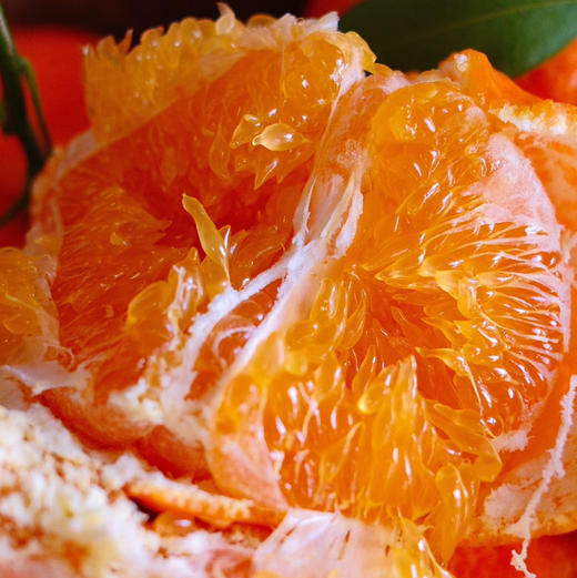 石家庄优选仓库速达，探蜜熊®大雅柑，果肉脆嫩饱满，颗粒分明，橘味浓郁，满口爆汁，净重6.5斤礼盒装 商品图5