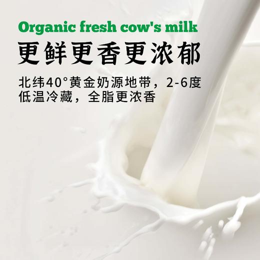 有机鲜牛乳1KG*2瓶|沙漠有机，技术锁鲜 商品图4