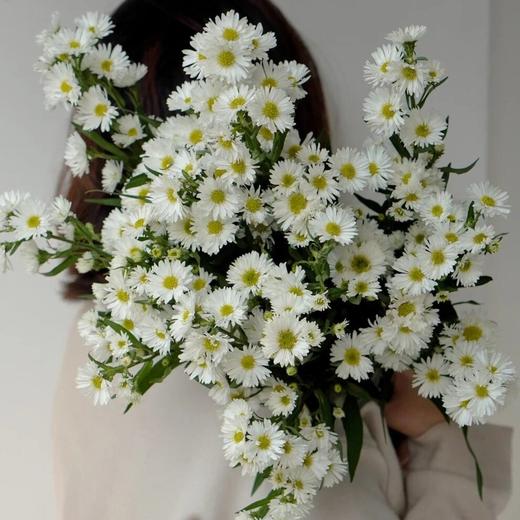 配花 | 紫鸢白 商品图0