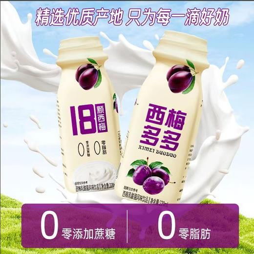 【营养解腻❗大餐救星】西梅多多膳食纤维西梅酸奶饮品（220ml*10瓶）饮料。ri 商品图1