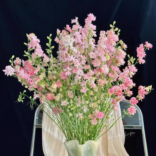 配花 | 千鸟飞燕粉色 商品图0