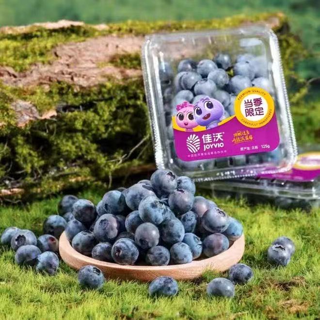 B1F【水果】佳沃蓝莓18+  规格：125g/盒（取货日期：4月16日）
