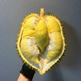 泰国首批金枕头榴莲a果顺丰包邮保四房【下单务必看售后须知！】